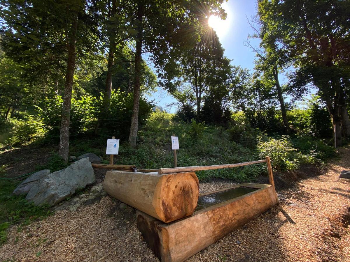 Landhotel Laudersbach Altenmarkt im Pongau Εξωτερικό φωτογραφία